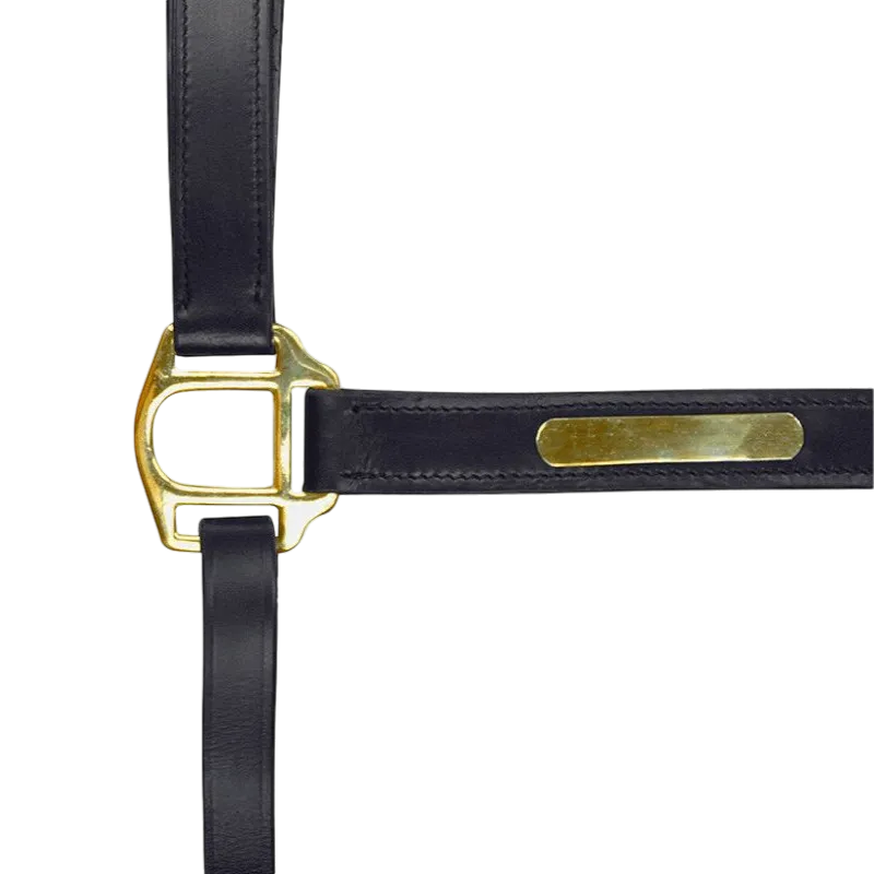 Norton - Licol à double réglage noir