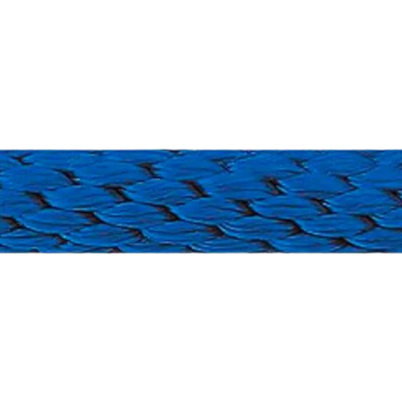 Norton - Longe d'attache 2 m bleu roi