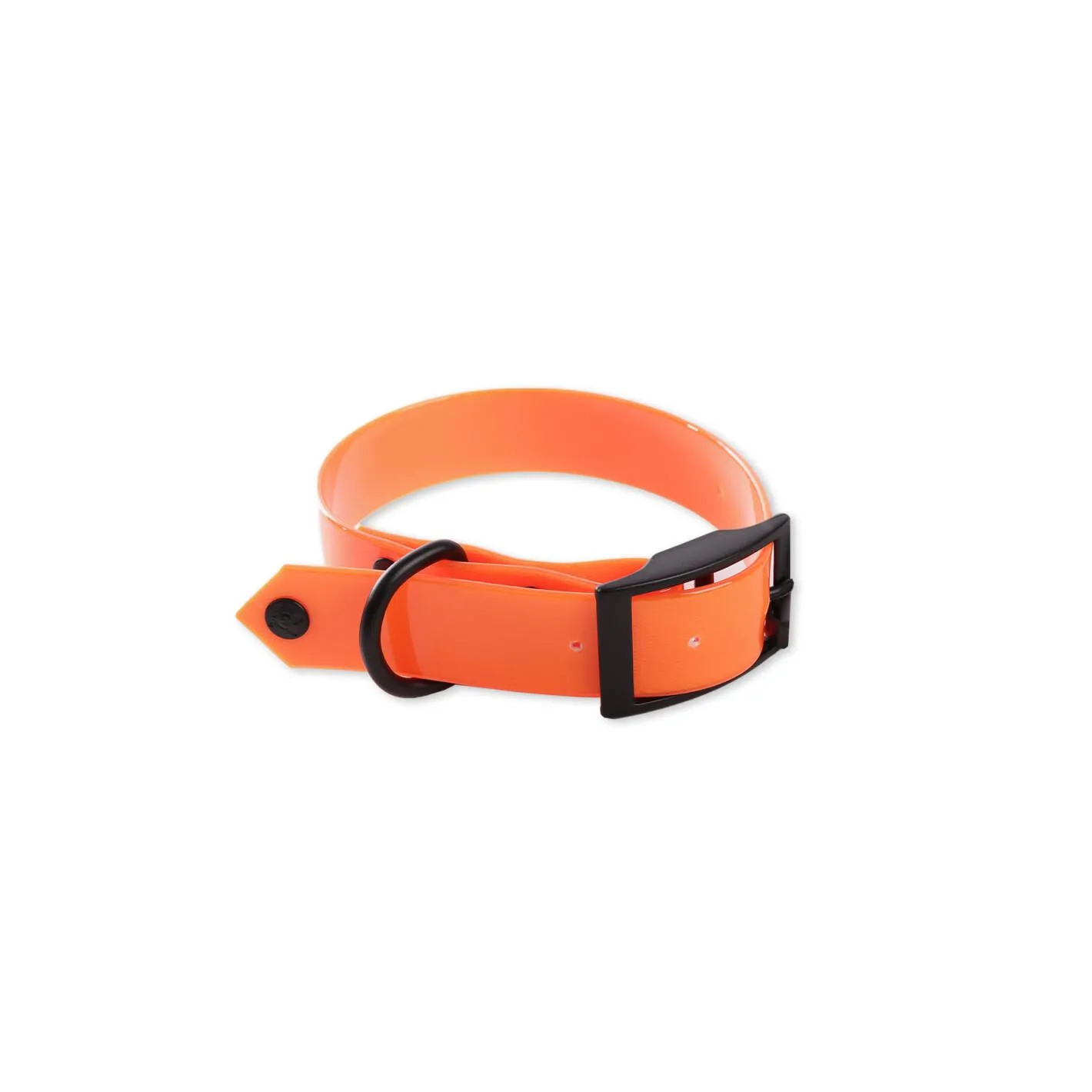 Collier pour chien fluo chasse