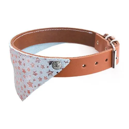 Collier pour chien Miami