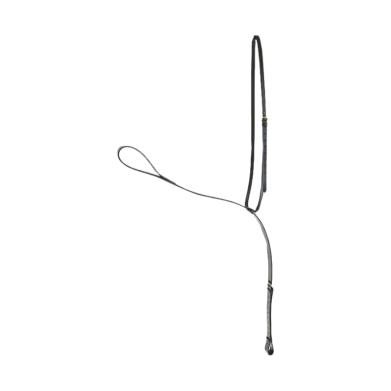 Canter - Martingale fixe Noir