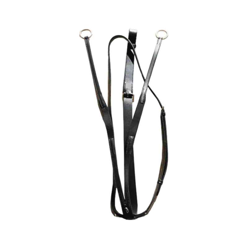 Canter - Martingale élastique à anneaux Noir