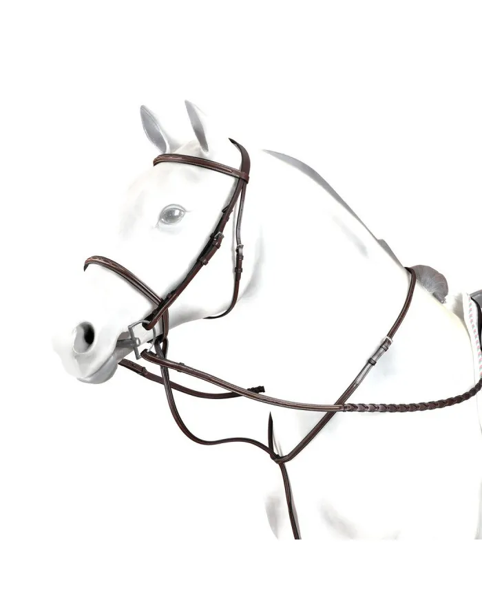 Modèle Equipe Martingale Fixe Hunter