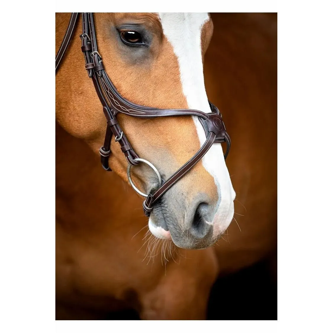 Bridons équitation en cuir vegan Lyon Fig 8 Jumping ECO