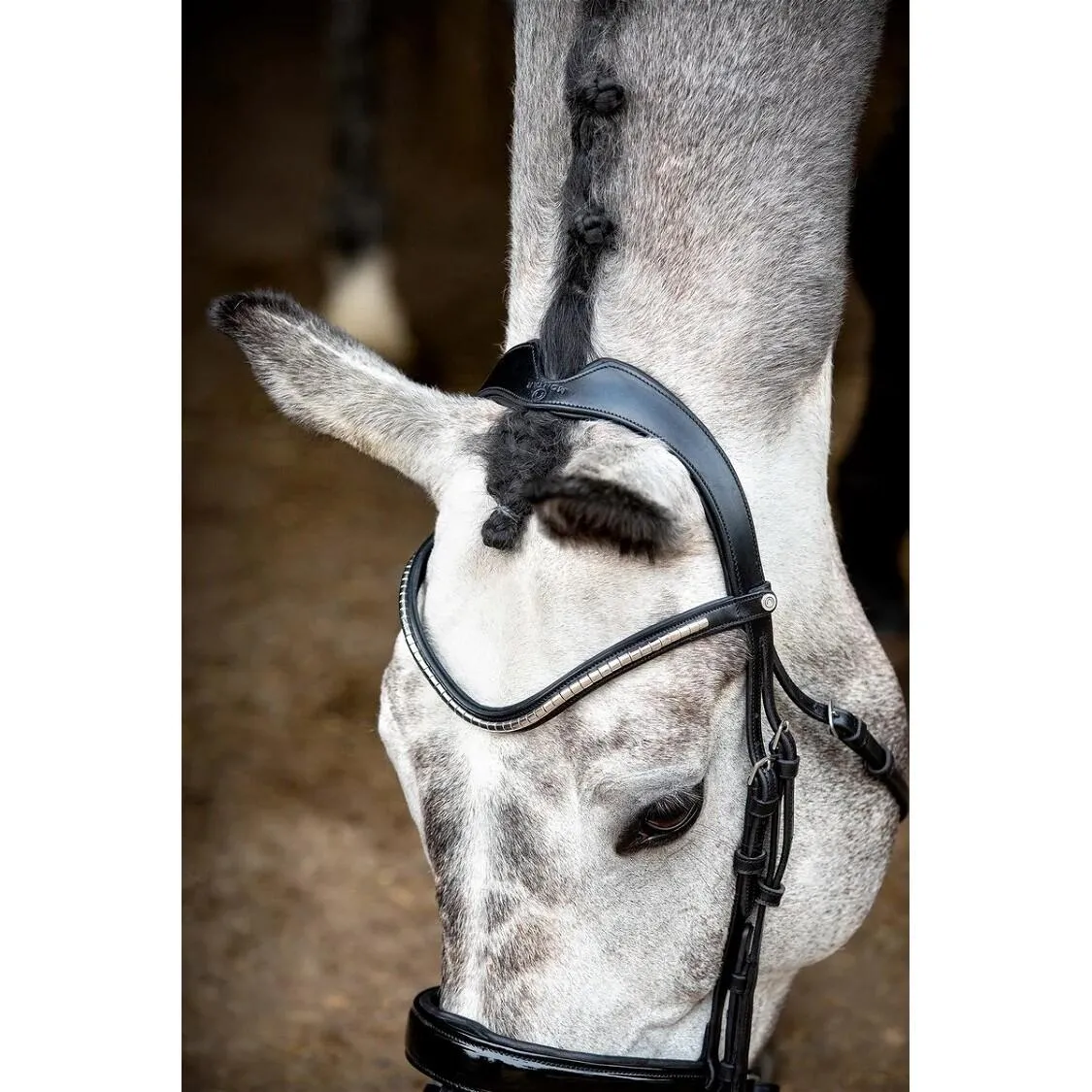 Bridons équitation en cuir vegan Normandie Deluxe ECO