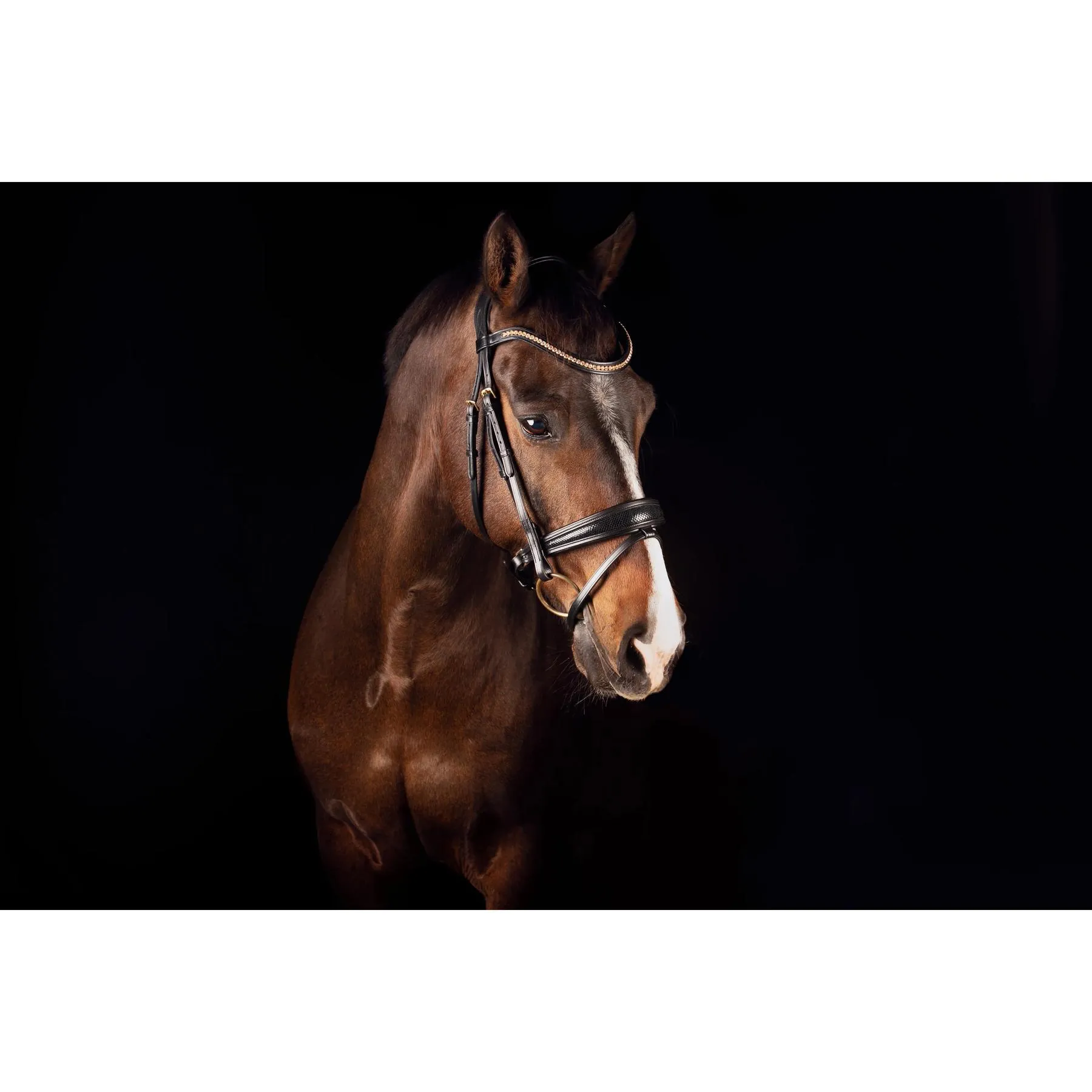 Mors de bride pour cheval Deluxe