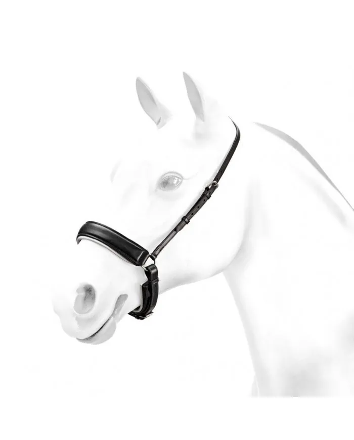 Bandeau Equipe Dressage « rose » Avec système « anti-pression »
