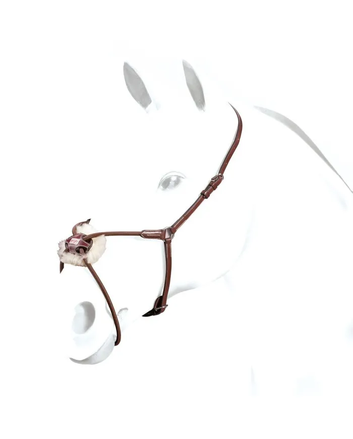 Muserolle Equipe Mexicaine en Cuir Sedgwick avec Muserolle en Élastique Tubulaire