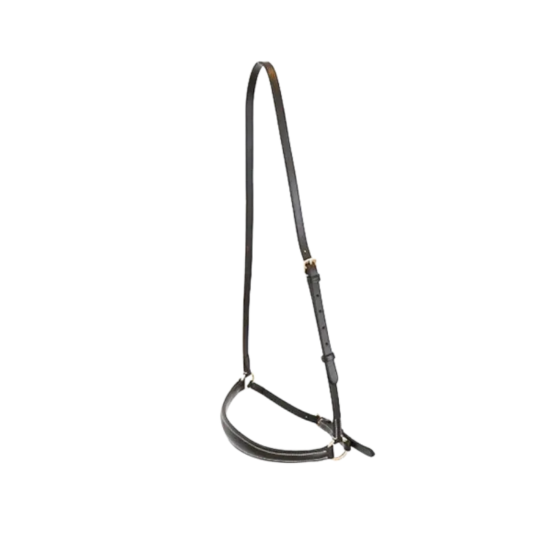 Canter - Muserolle allemande Marron