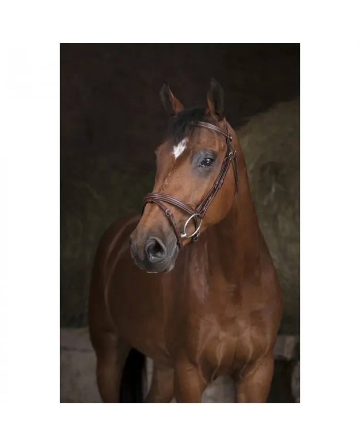 Norton Bridle Pro "essentiel"