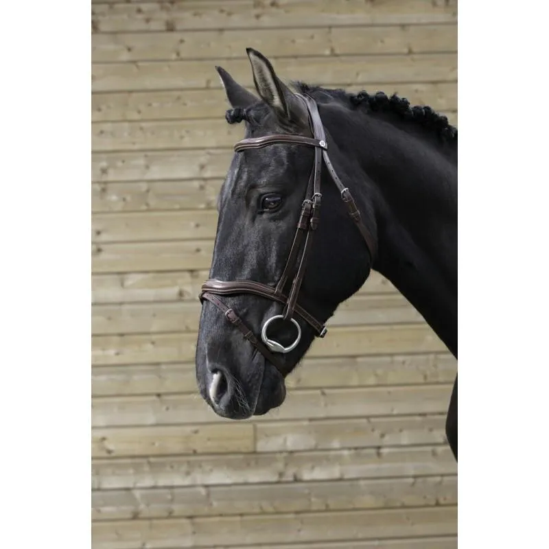 Bridons équitation découpé