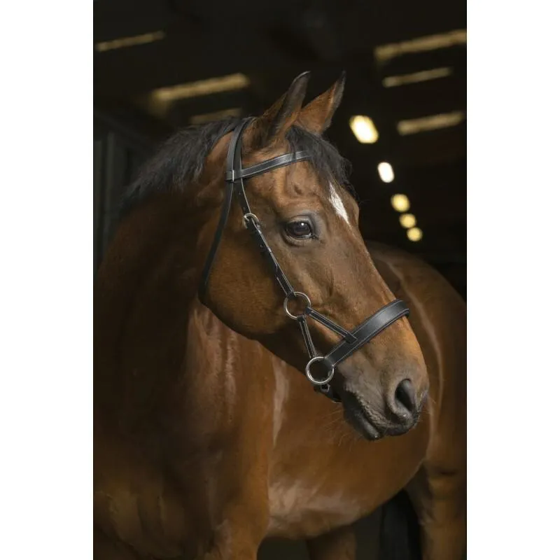 Bridons équitation Confort