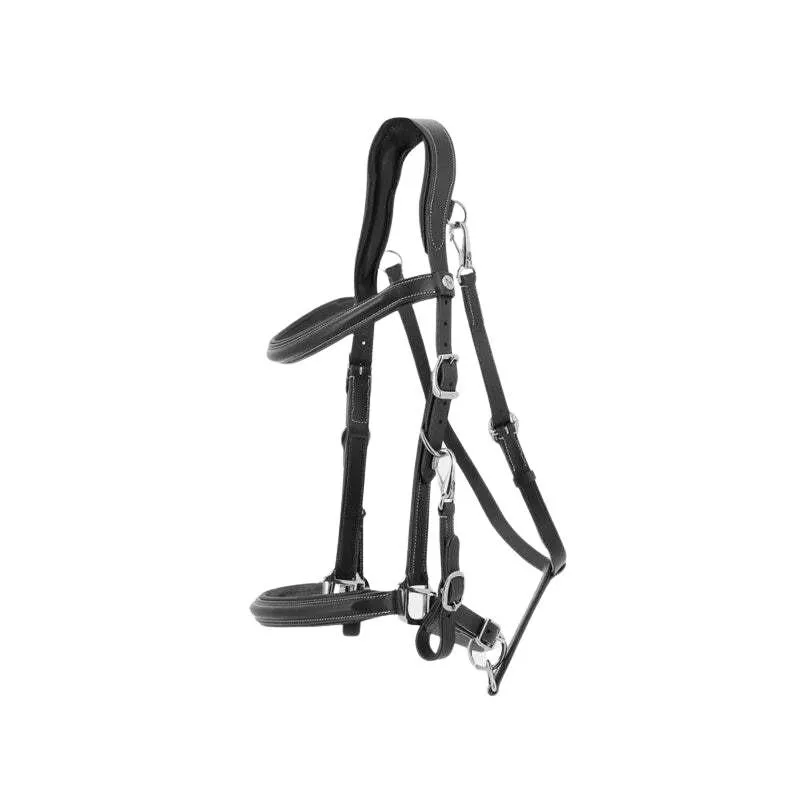 Bridon licol en cuir pour cheval Trekking