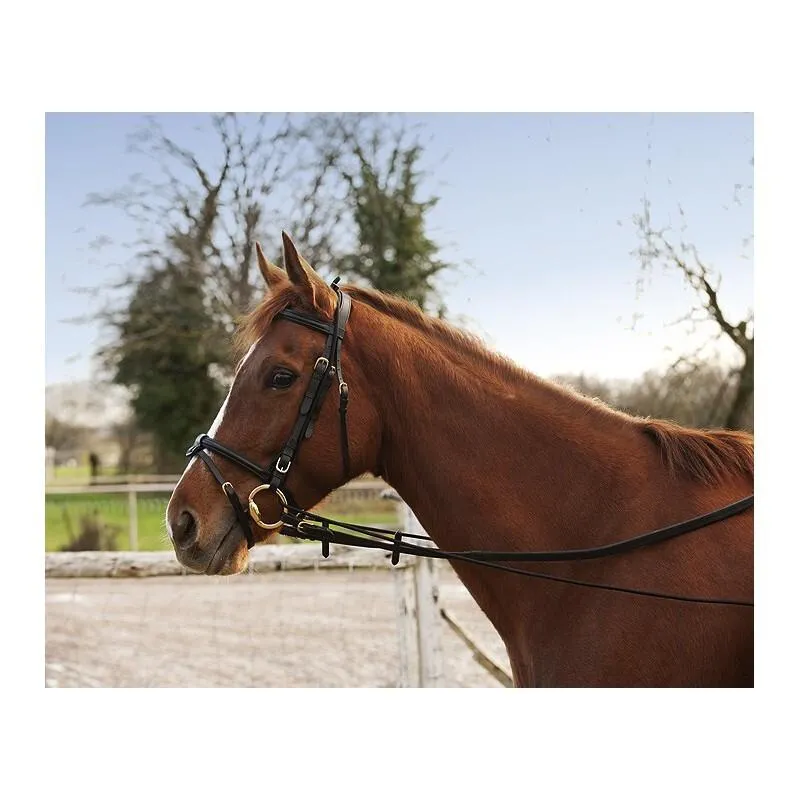 Enrênement pour cheval long éducatif élastique