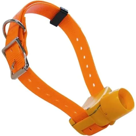 Collier à repérage sonore seul Canibeep Radio Pro