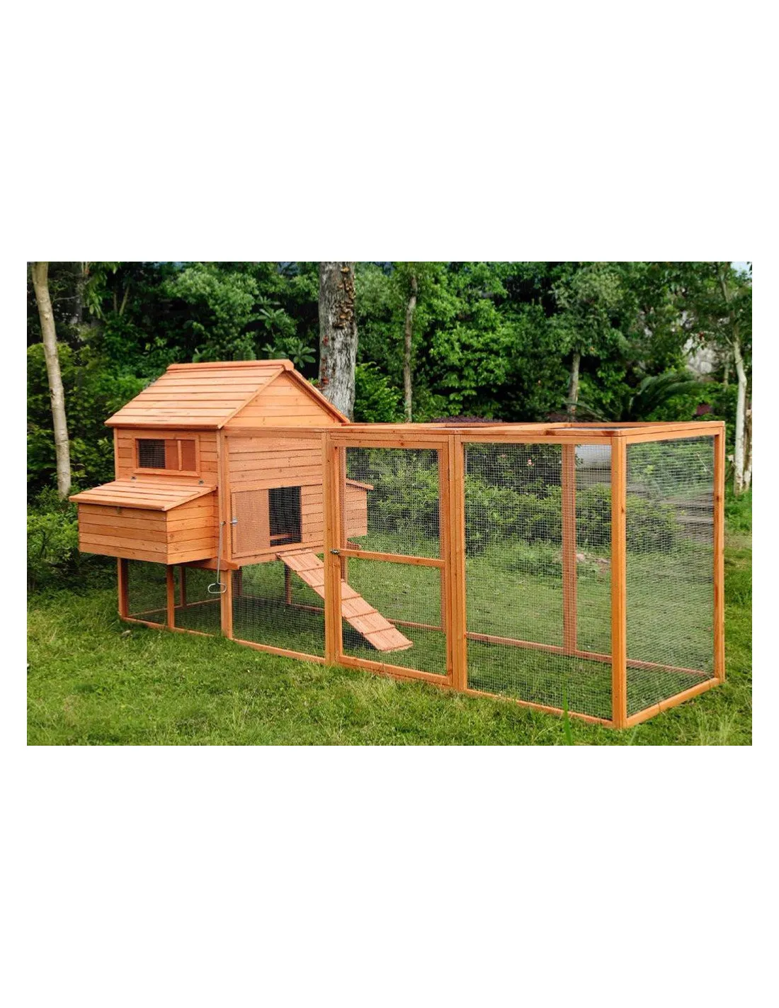 Poulailler Porquerolles 8 à 10 poules grand poulailler bois sapin avec parc grillagé