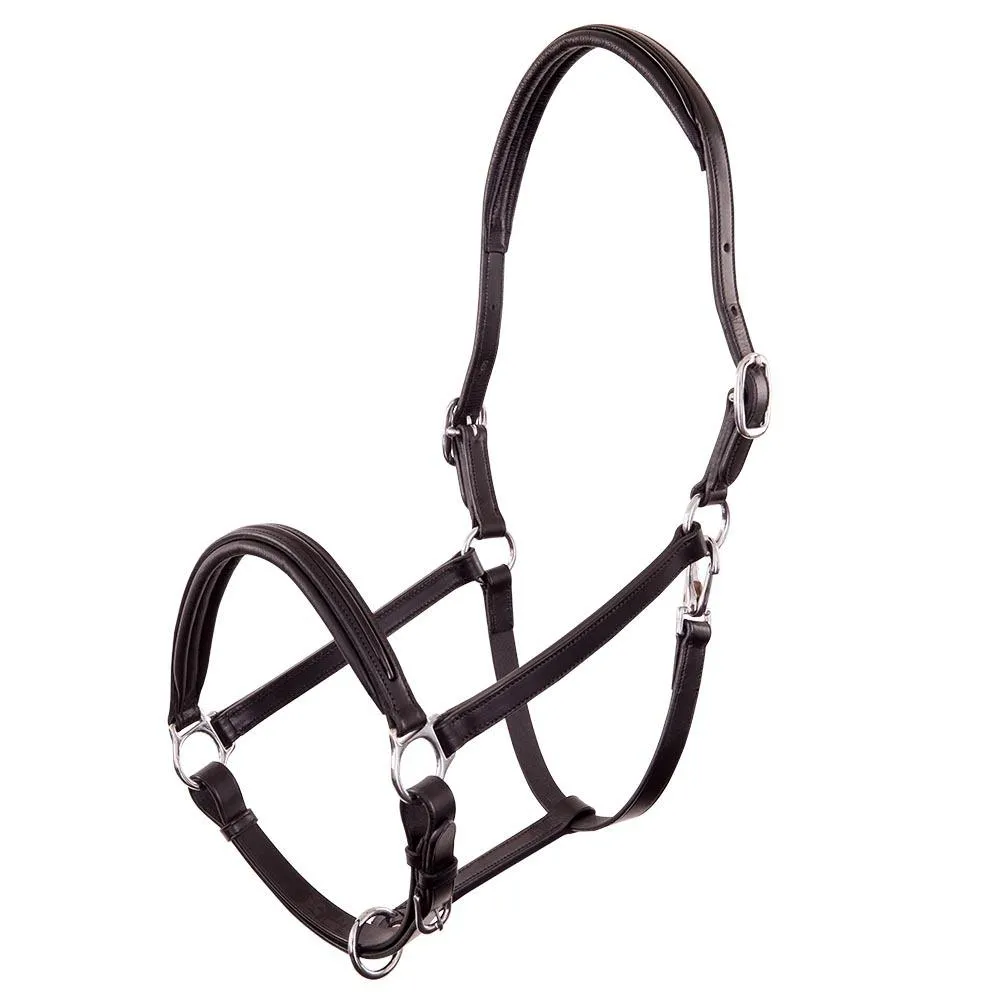 Licol pour cheval en cuir verni Equitation Florennes