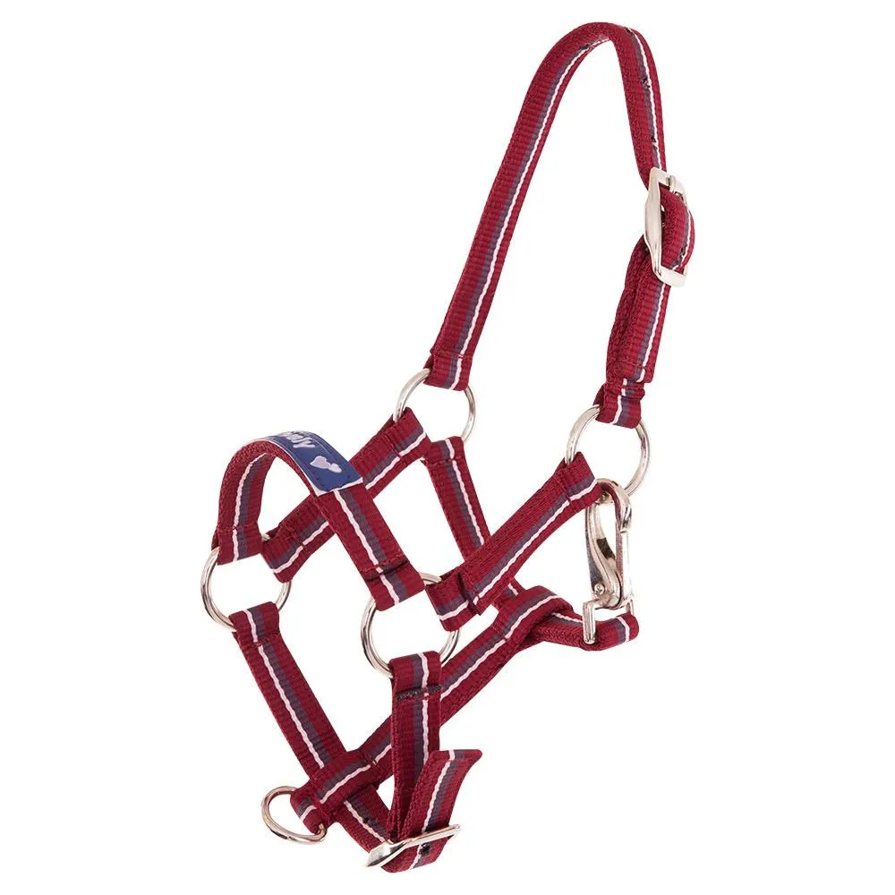 Licol pour poulain Equitation Fun