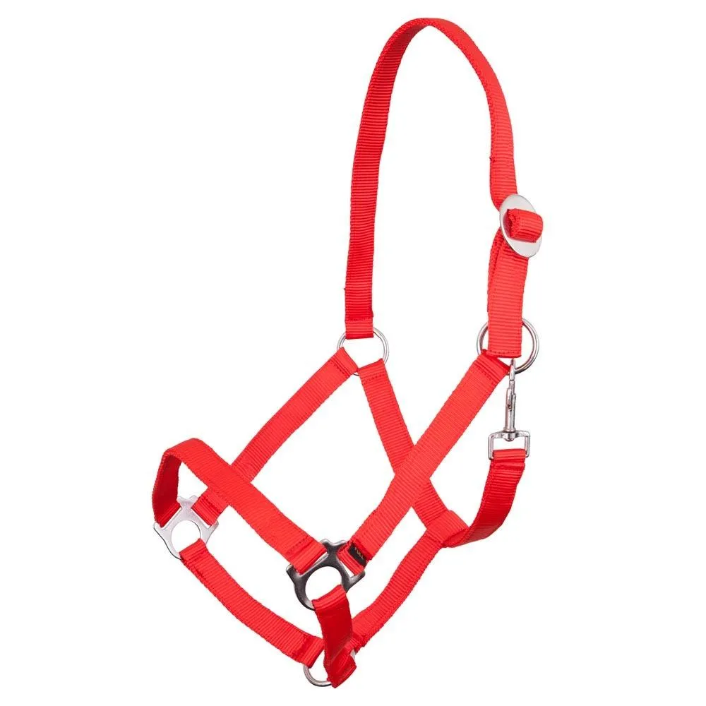 Licol pour cheval propylène Equitation