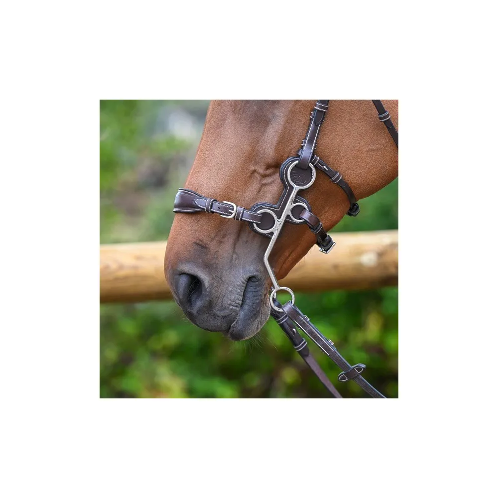 Protections Jump'In pour hackamore 0091 et 0092