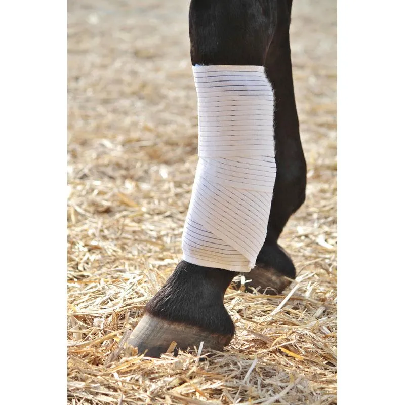 Coussin de cryothérapie pour cheval