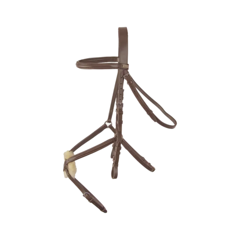 TdeT -  Bridon avec rênes Sisley muserolle croisée tabac