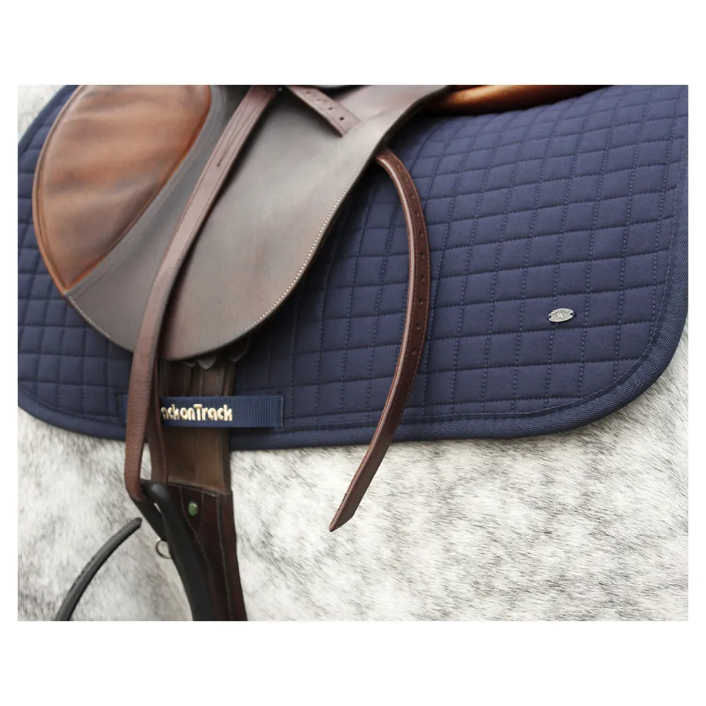 Tapis No.Ⅰ CSO Back On Track