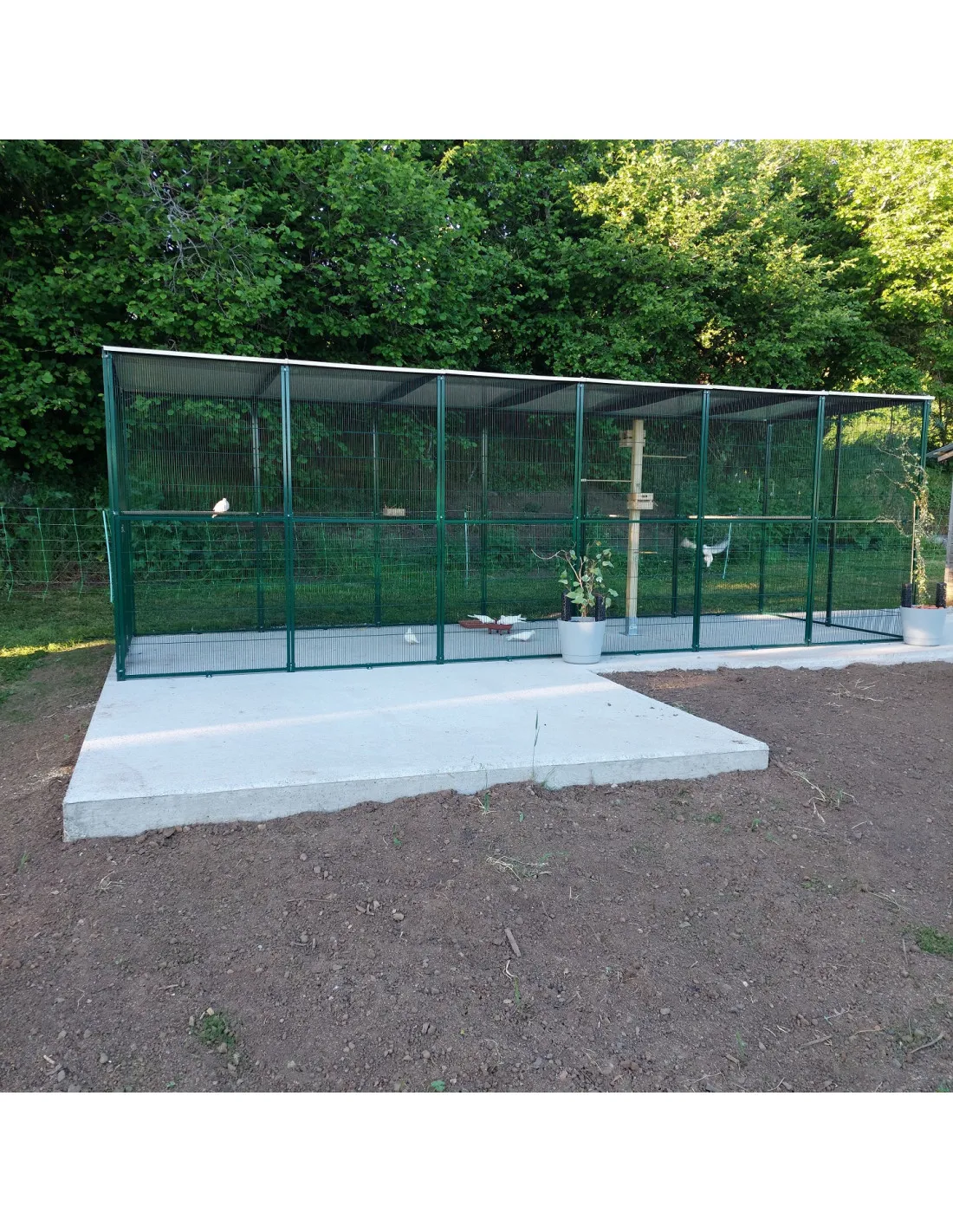 Volière 6x2x2 m avec toiture complète Volière extérieure maille soudée robuste Volière jardin