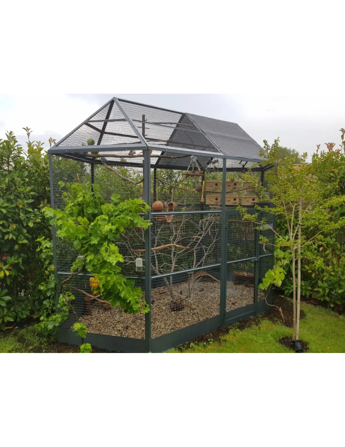 Volière Jardin d'eden