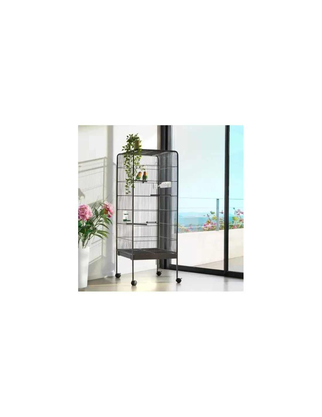 Volière Onoré Volière Dronte convient pour petites perruches inséparables conures grandes perruches pinsons