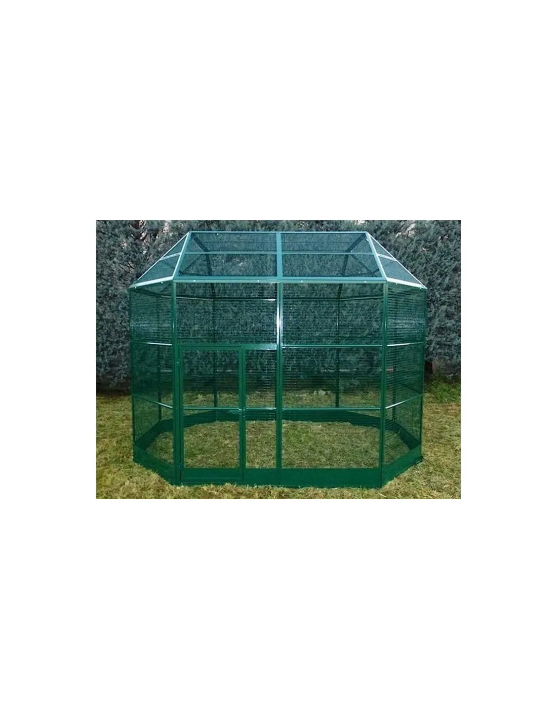 Volière perroquet Amazone de prêtre Taille 6