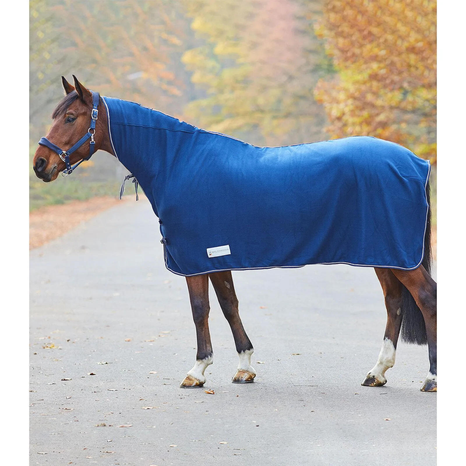 Chemise séchante pour cheval avec encolure Economic