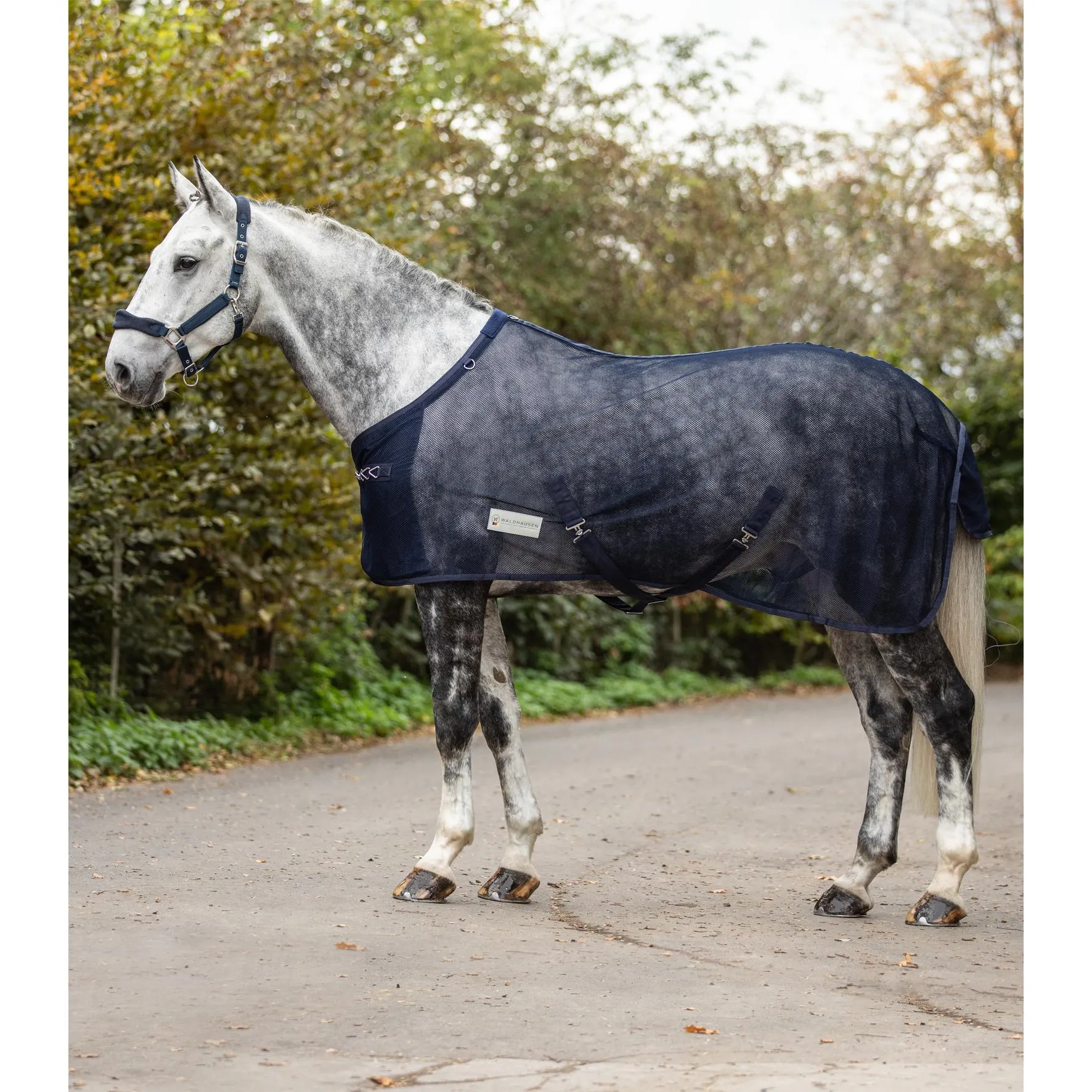 Couverture anti-mouches pour cheval avec sangles croisées Comfort