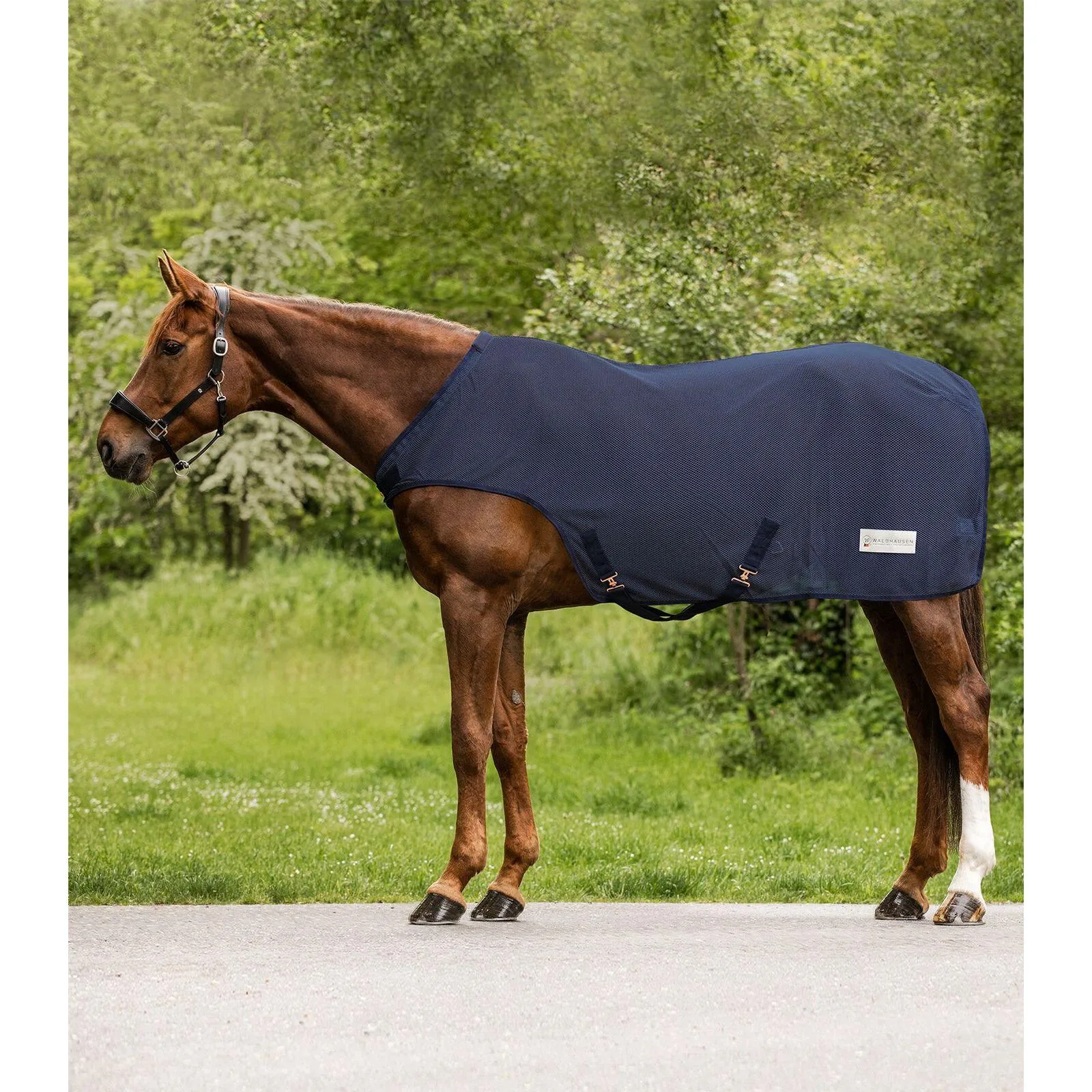 Couverture anti-mouches pour cheval pour manège Comfort
