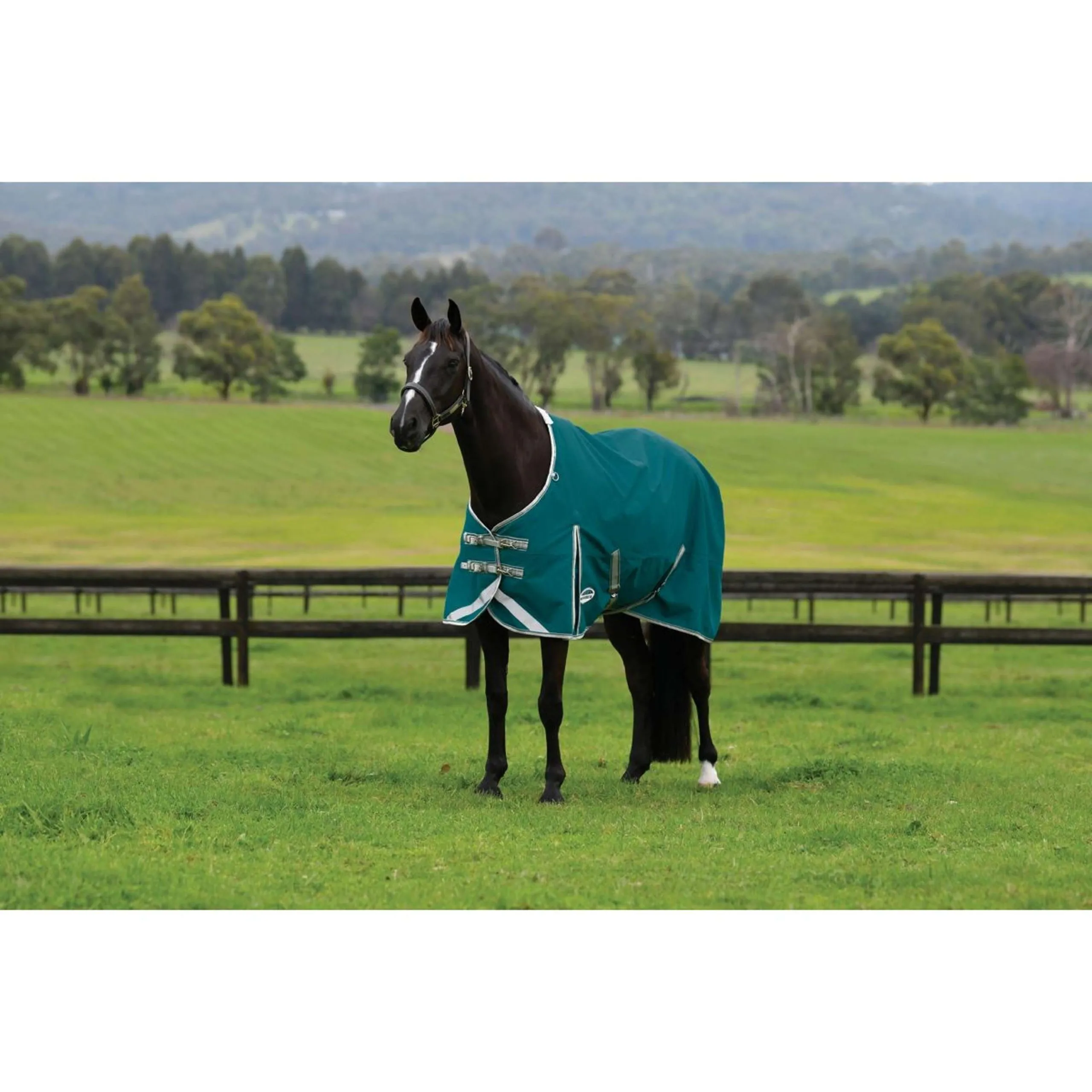 Weatherbeeta Couverture Imperméable Comfitec Plus Dynamic II Standard Neck Lite 0g Teal Green/Stone/Teal Green