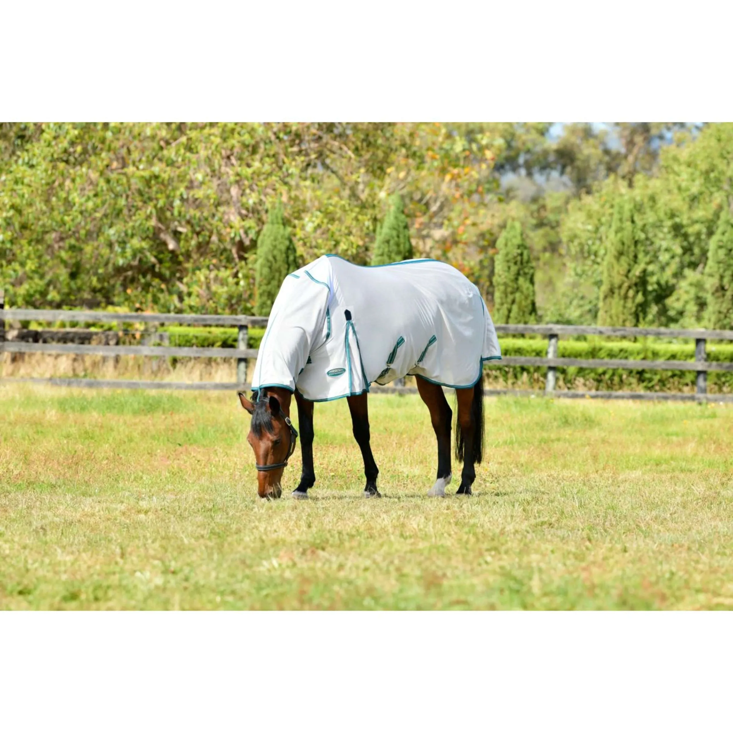 Weatherbeeta Couverture Anti-Mouches Comfitec Zephyr Plus Mesh Combo Neck Silver/Teal Green/Stone