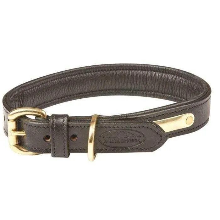 Collier pour chien en cuir rembourré