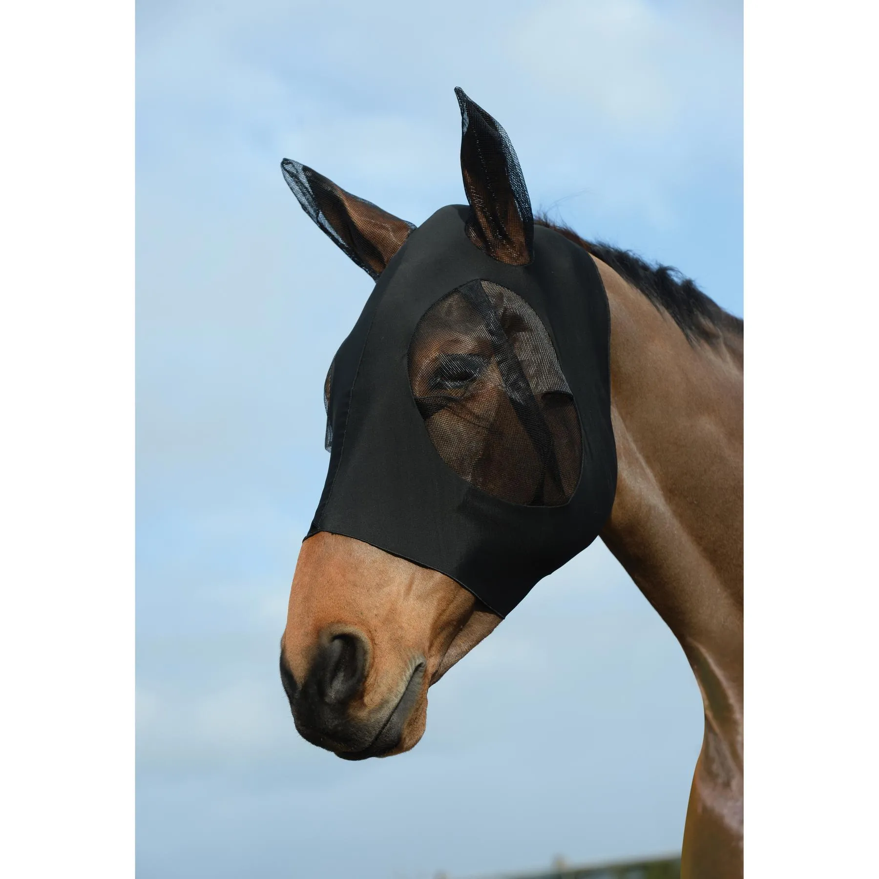 Masque anti-mouches extensible des yeux et oreilles pour cheval Deluxe Bug