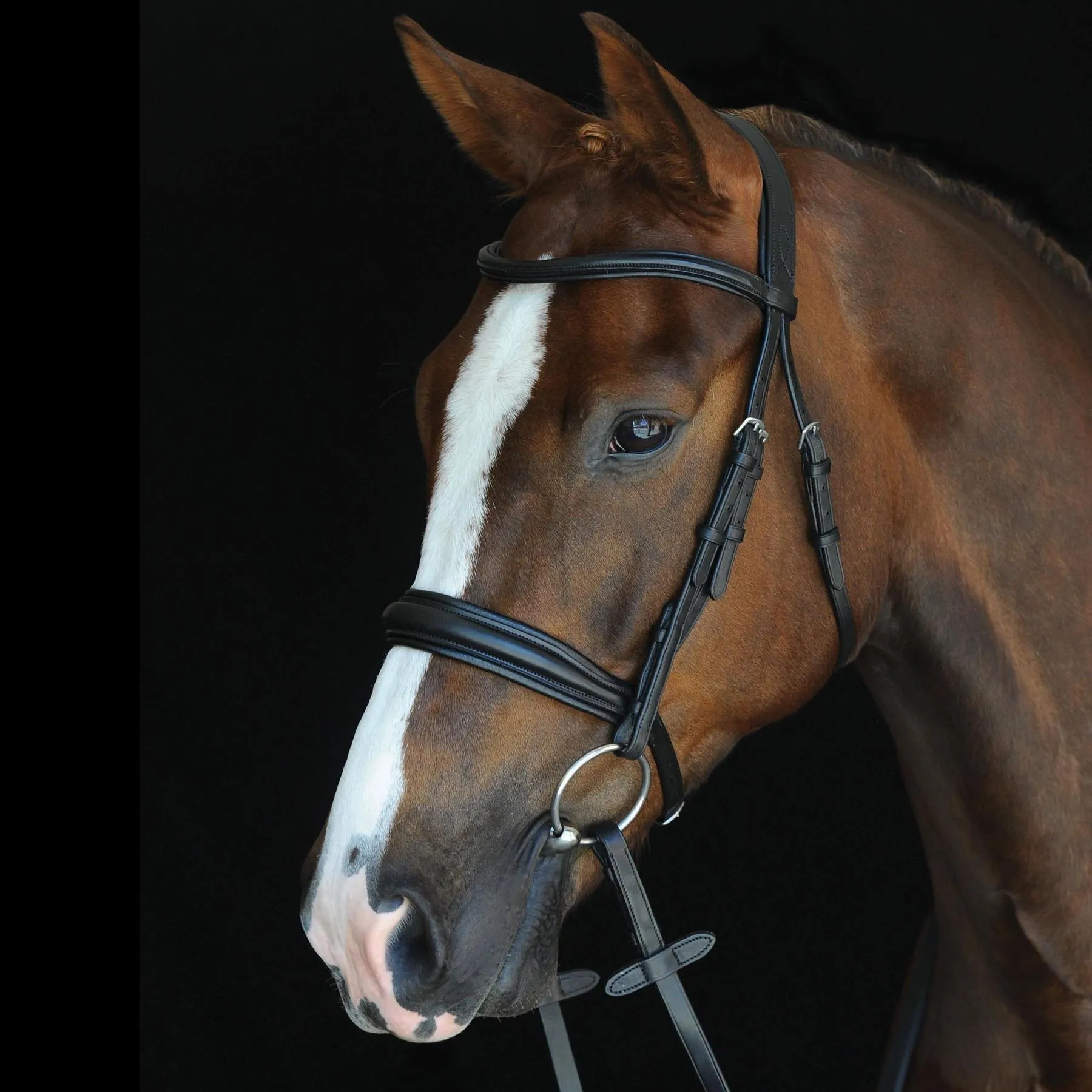 Bridons équitation Collegiate Mono Crown