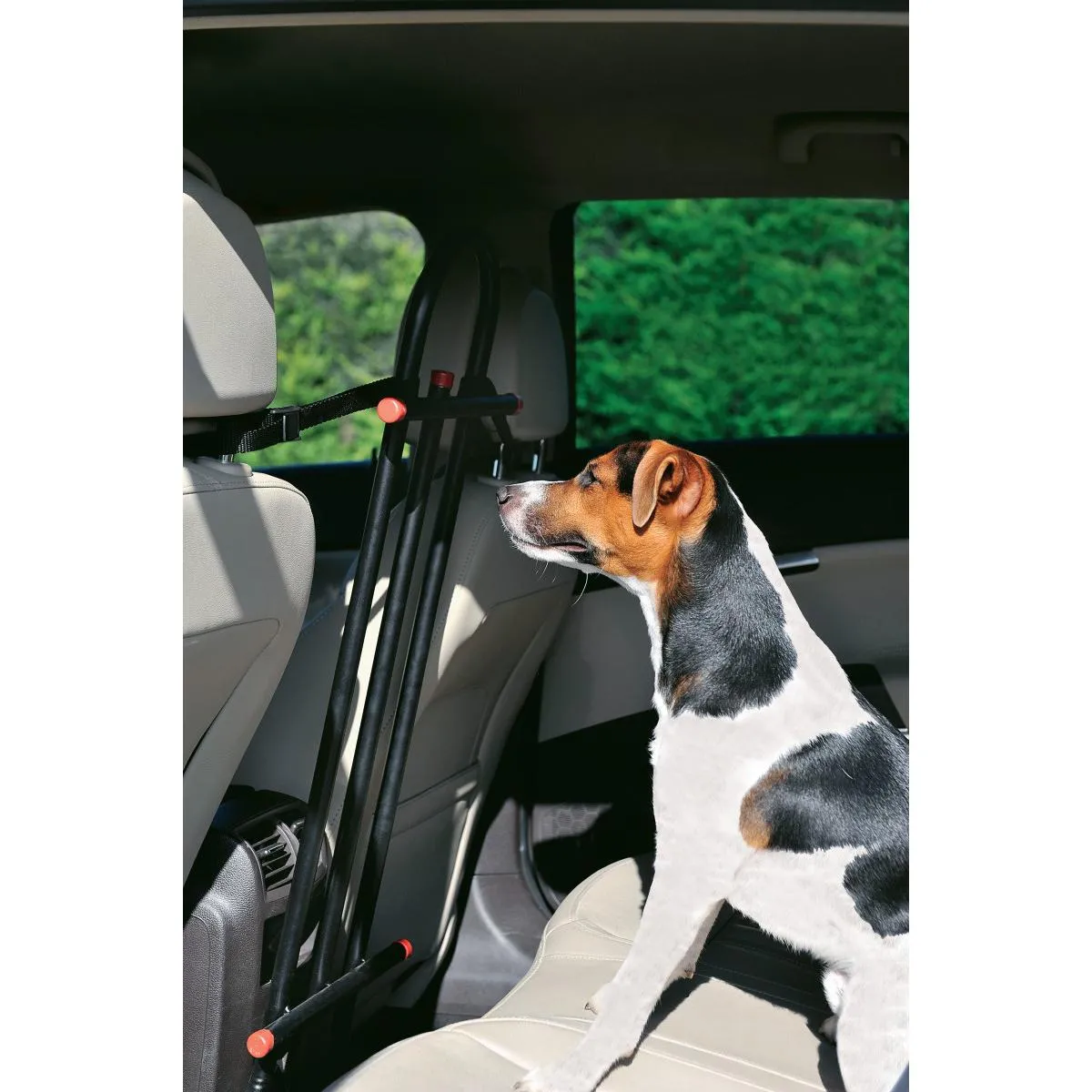 Grille de sécurité auto avant pour Chien