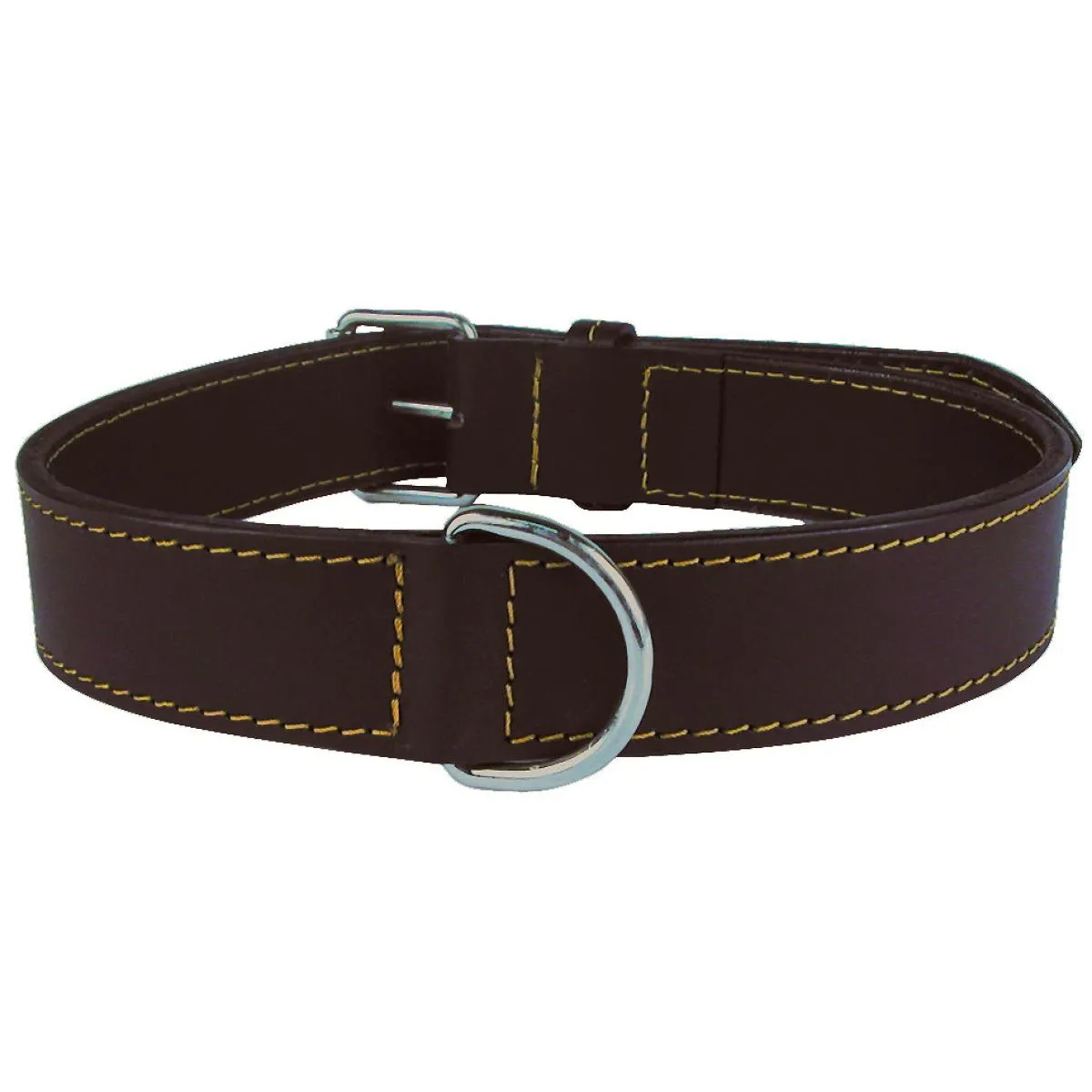 Collier en cuir doublé pour chien